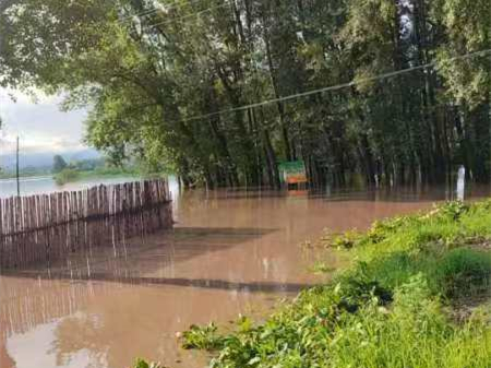 1722408018770884.jpg 02113b4f4cb8cb21d9e0337bc550164_副本.jpg